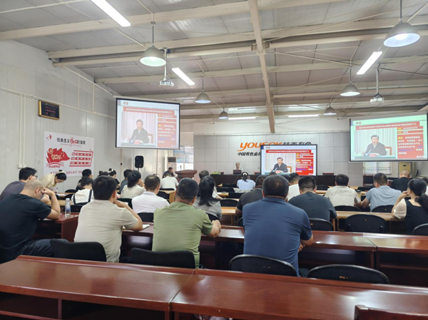 专业赋能 提质增效——公司组织开展2025年度专业技术人员职称继续教育培训